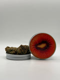 Red Kiwi