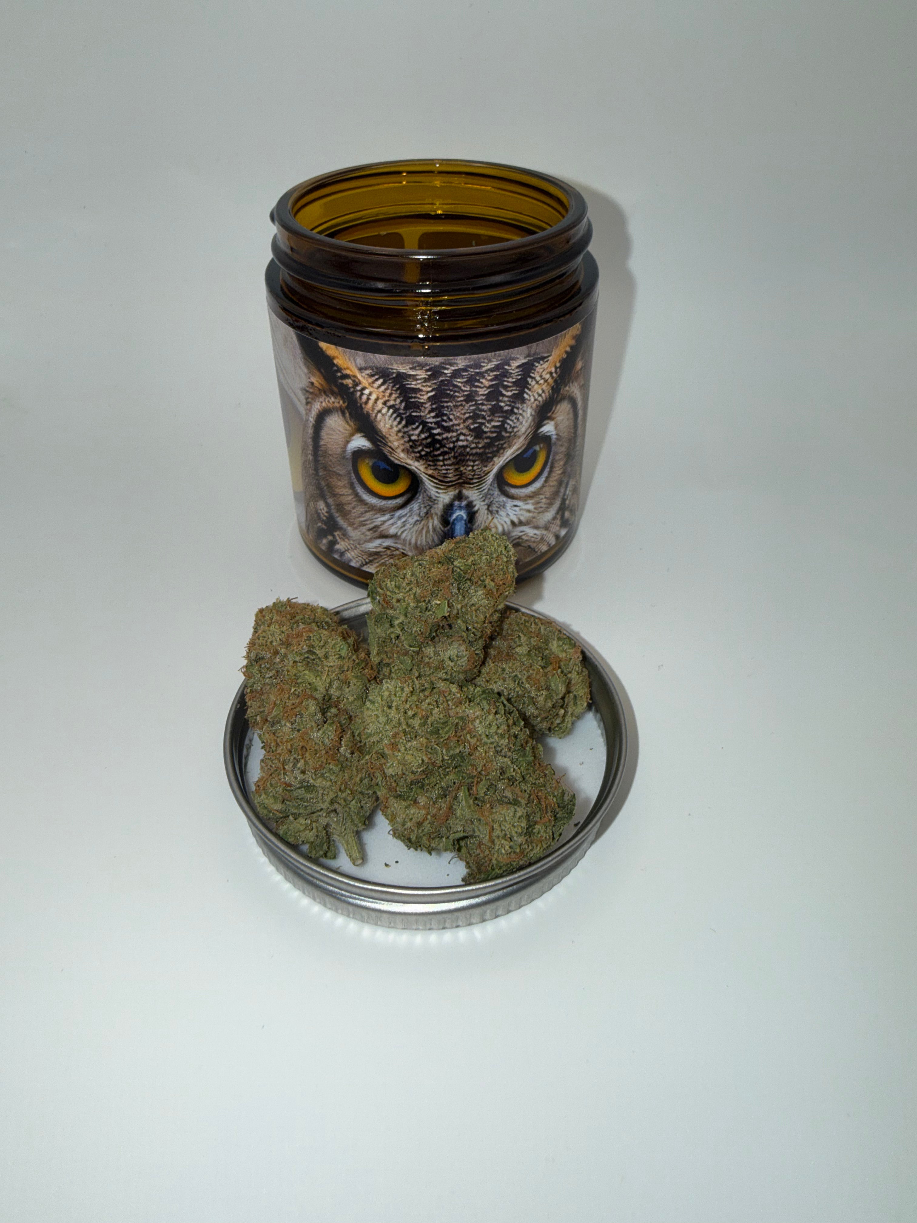 Owlz