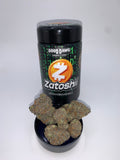Zatoshii